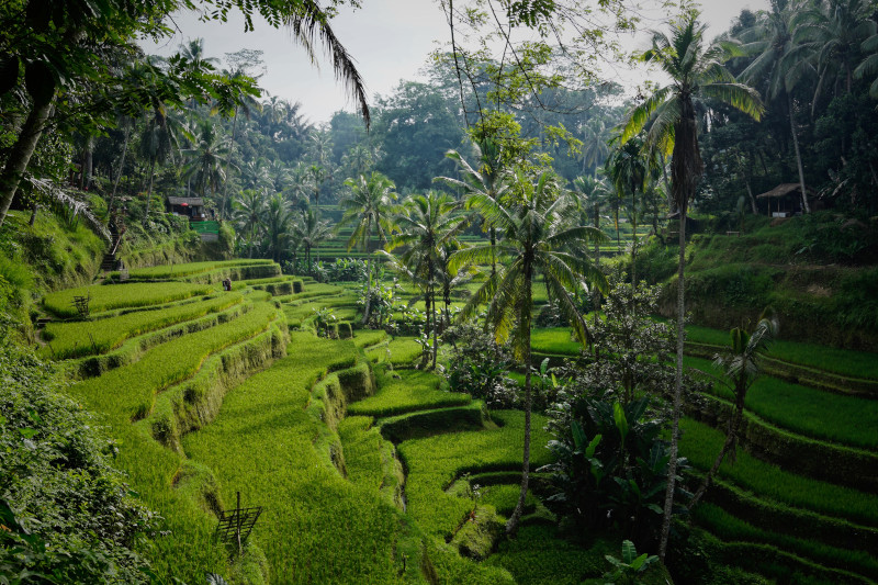 Wakacje na Bali – co warto tam zobaczyć?