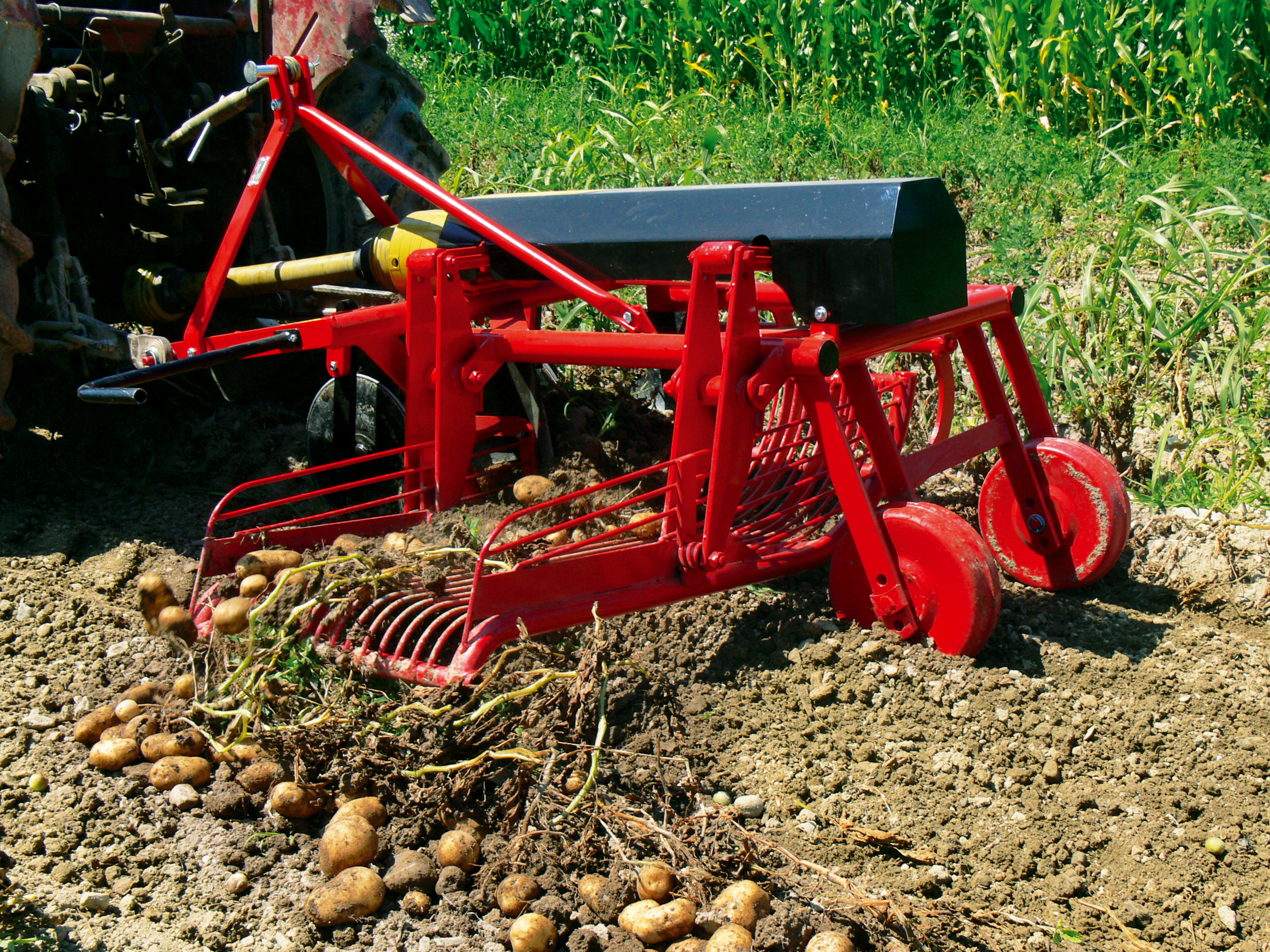 Kopaczka do ziemniaków – niezbędnik rolnika